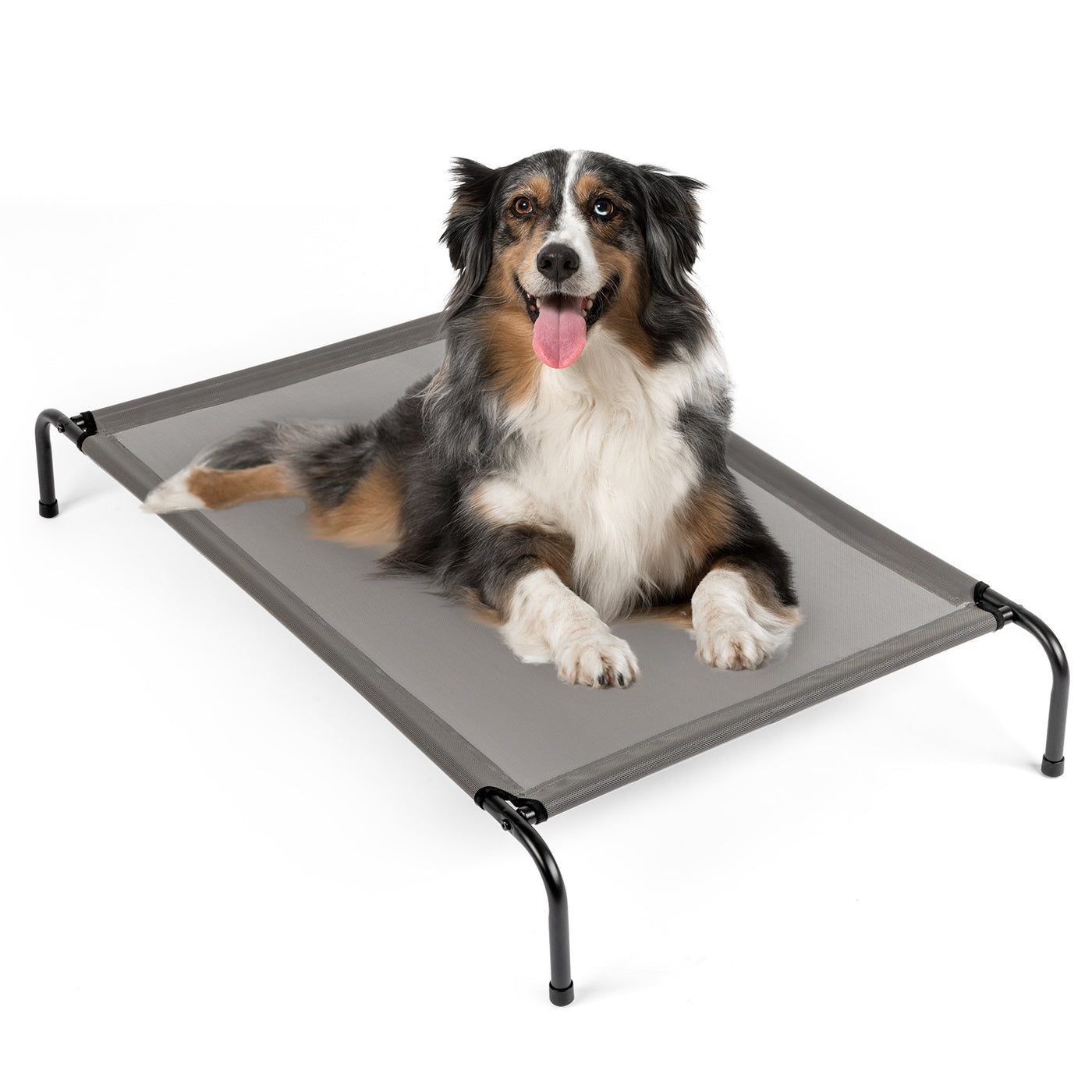 Pet Beds