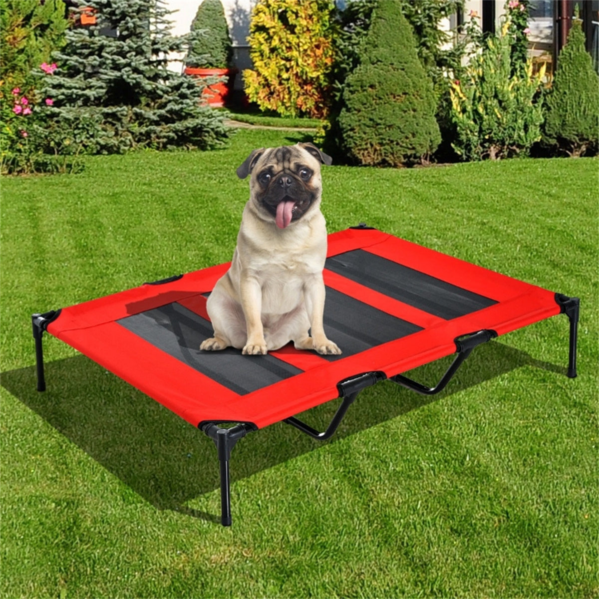 Pet Beds