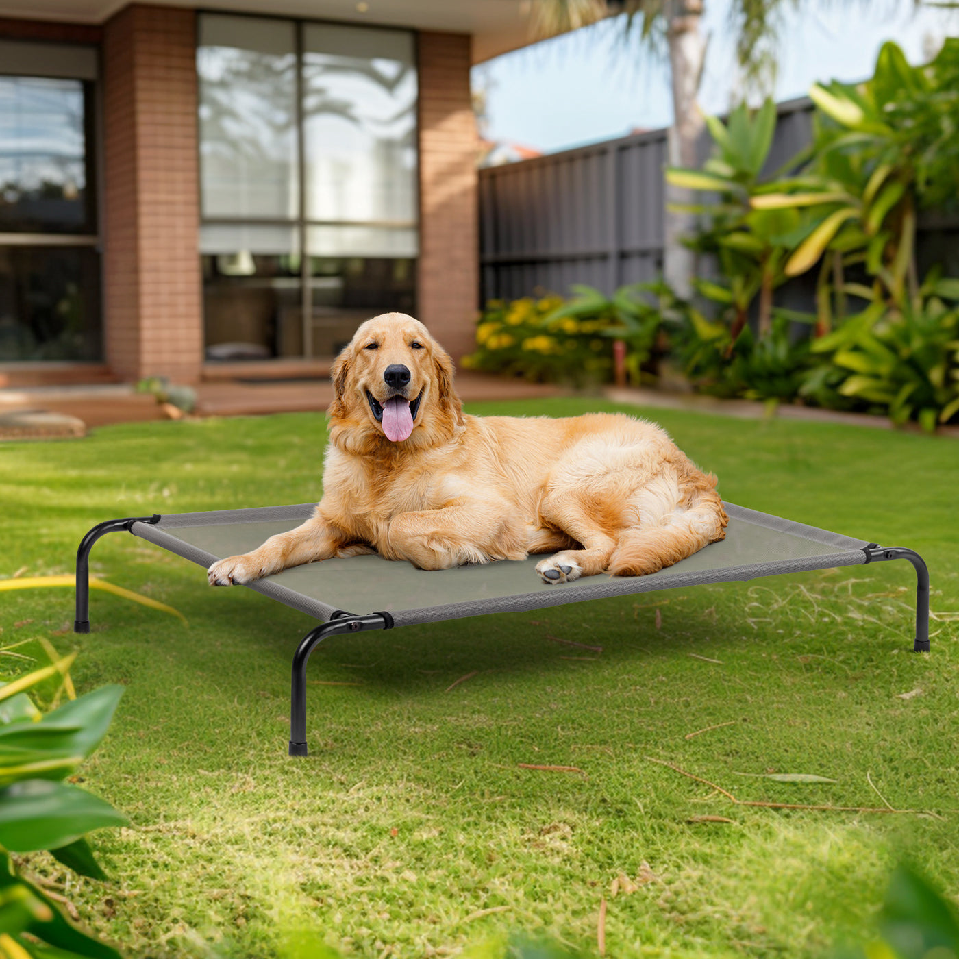 Pet Beds