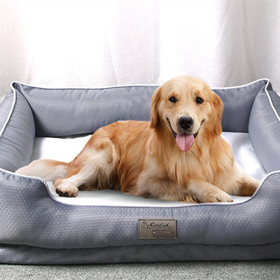 pet care